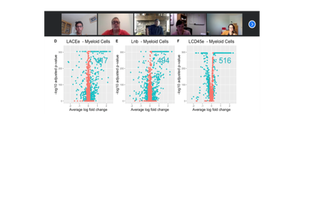 Zoom call with screen share of data