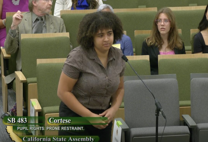 Screenshot of Stella speaking at a broadcasted hearing.
