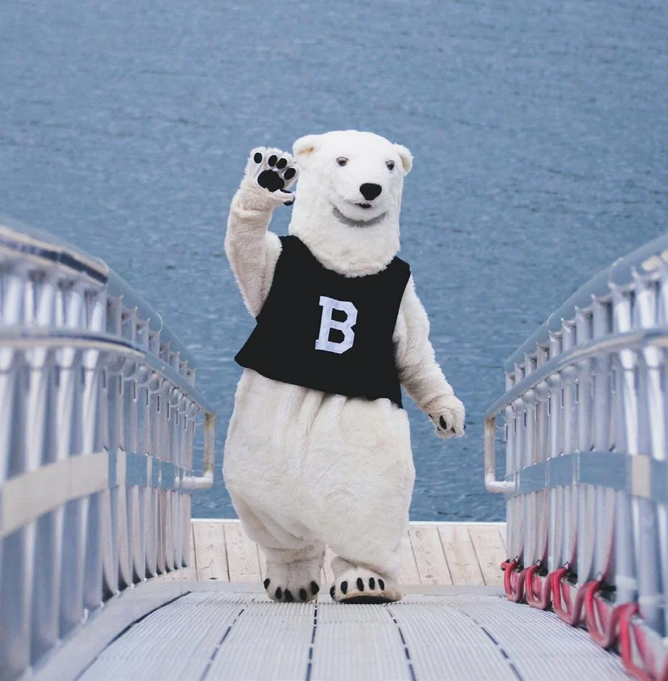 polar bear