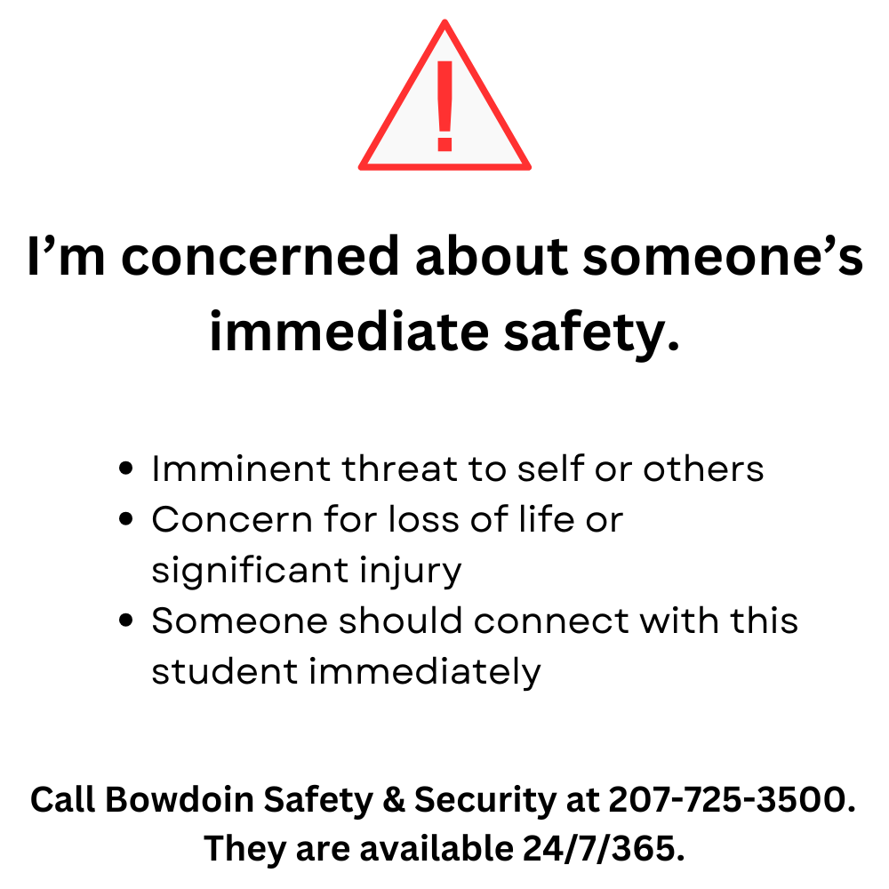 immediate student support graphic