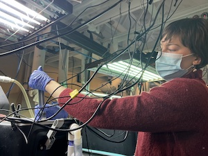 Lucie Nolden in lab