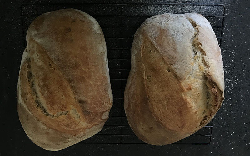 Loaves of Holden's sourdough bread