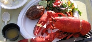 Lobster