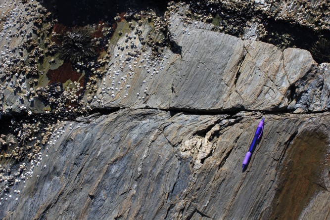 Pen on rock. Photo credit: Emily Peterman