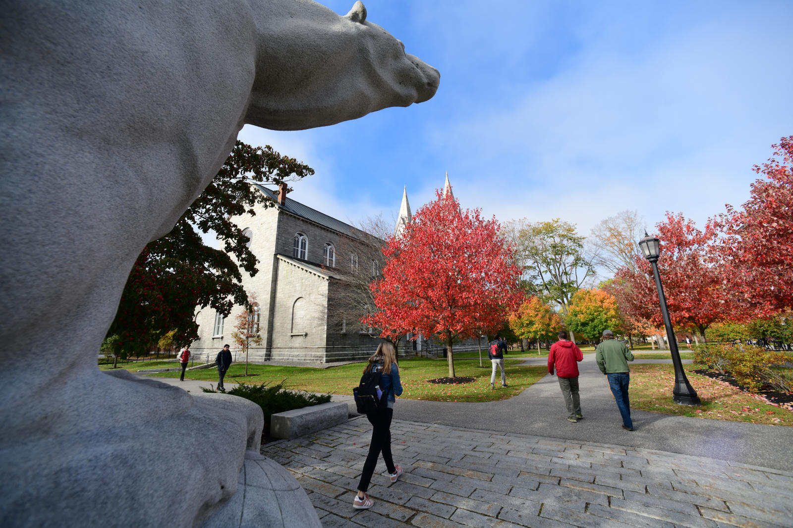 polar bear in fall
