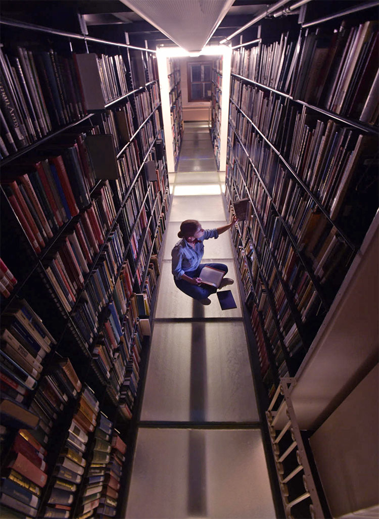 Library Stacks