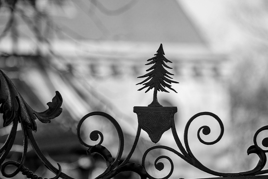 A decorative pine tree gate on the Bowdoin campus