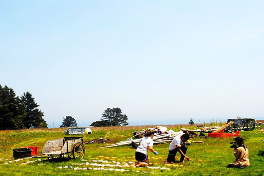 Kent Island photo by Emily Hochman ’15