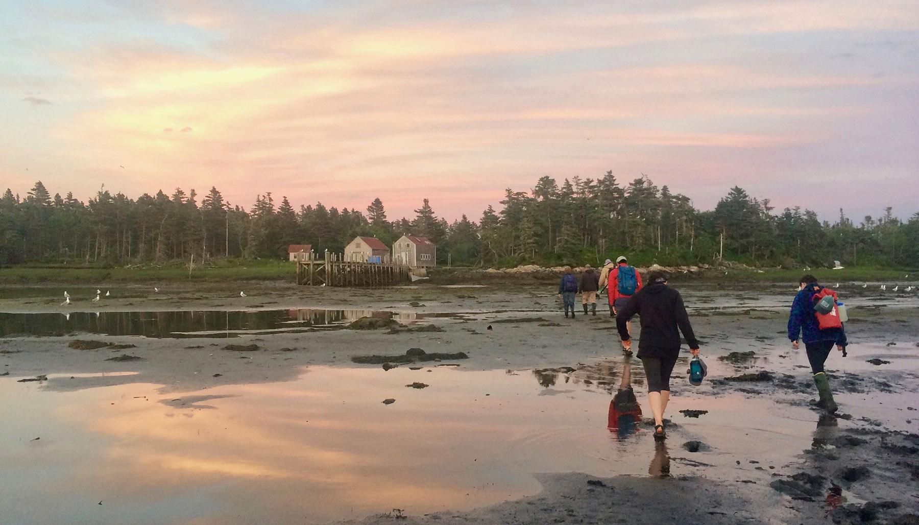 Students walking on Kent Island, photo by Zoe Wood '18