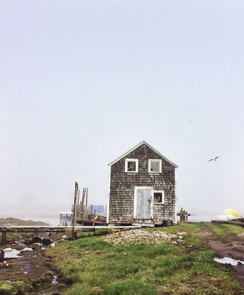 Kent Island photo by Zoe Wood ’18