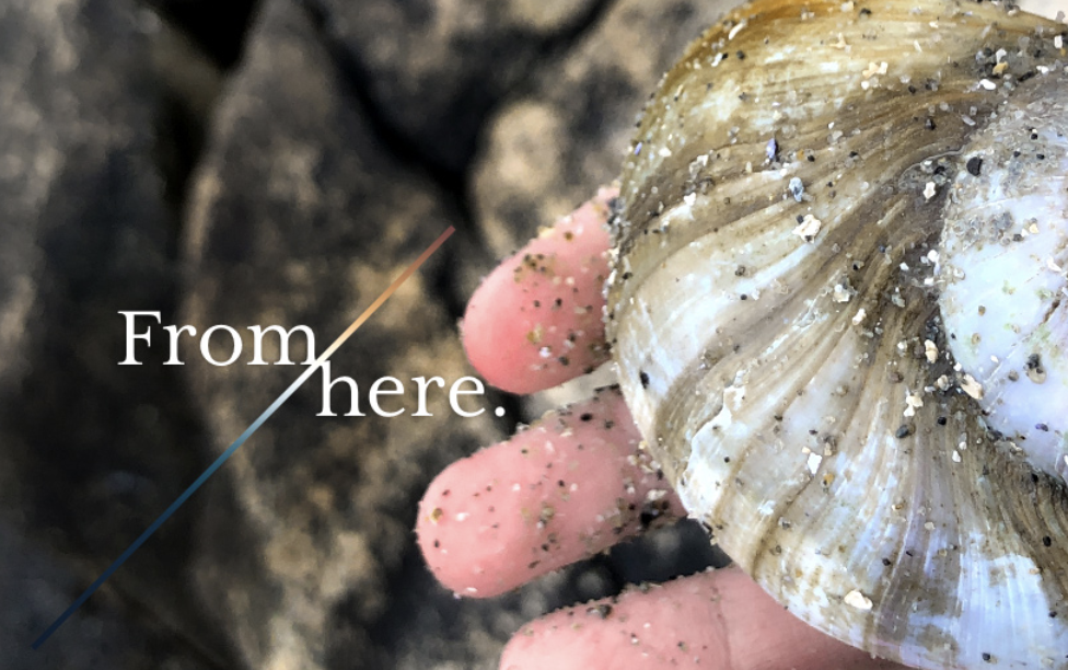 "From Here" atop a photo of someone holding a seashell