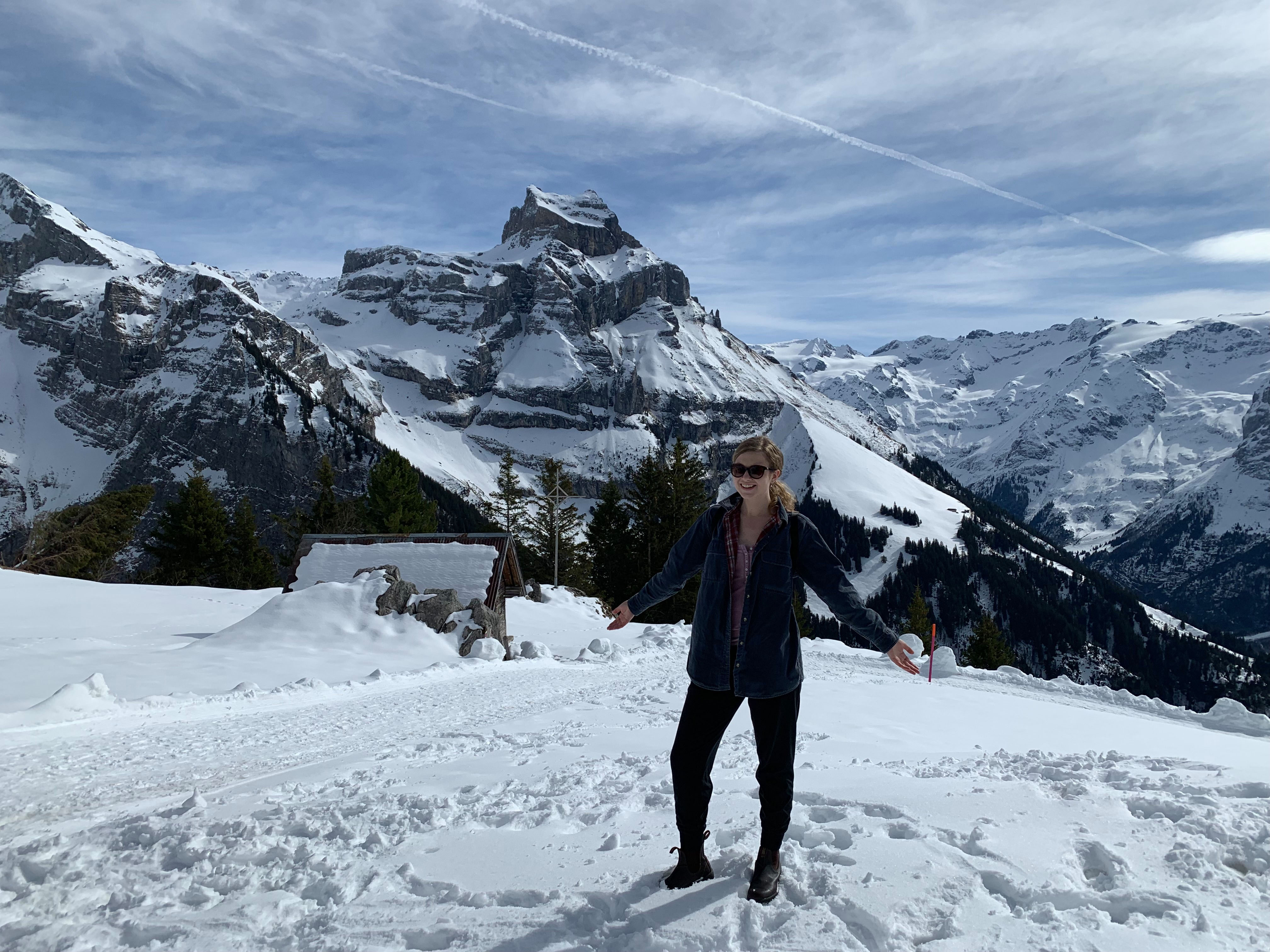 Austrian Alps