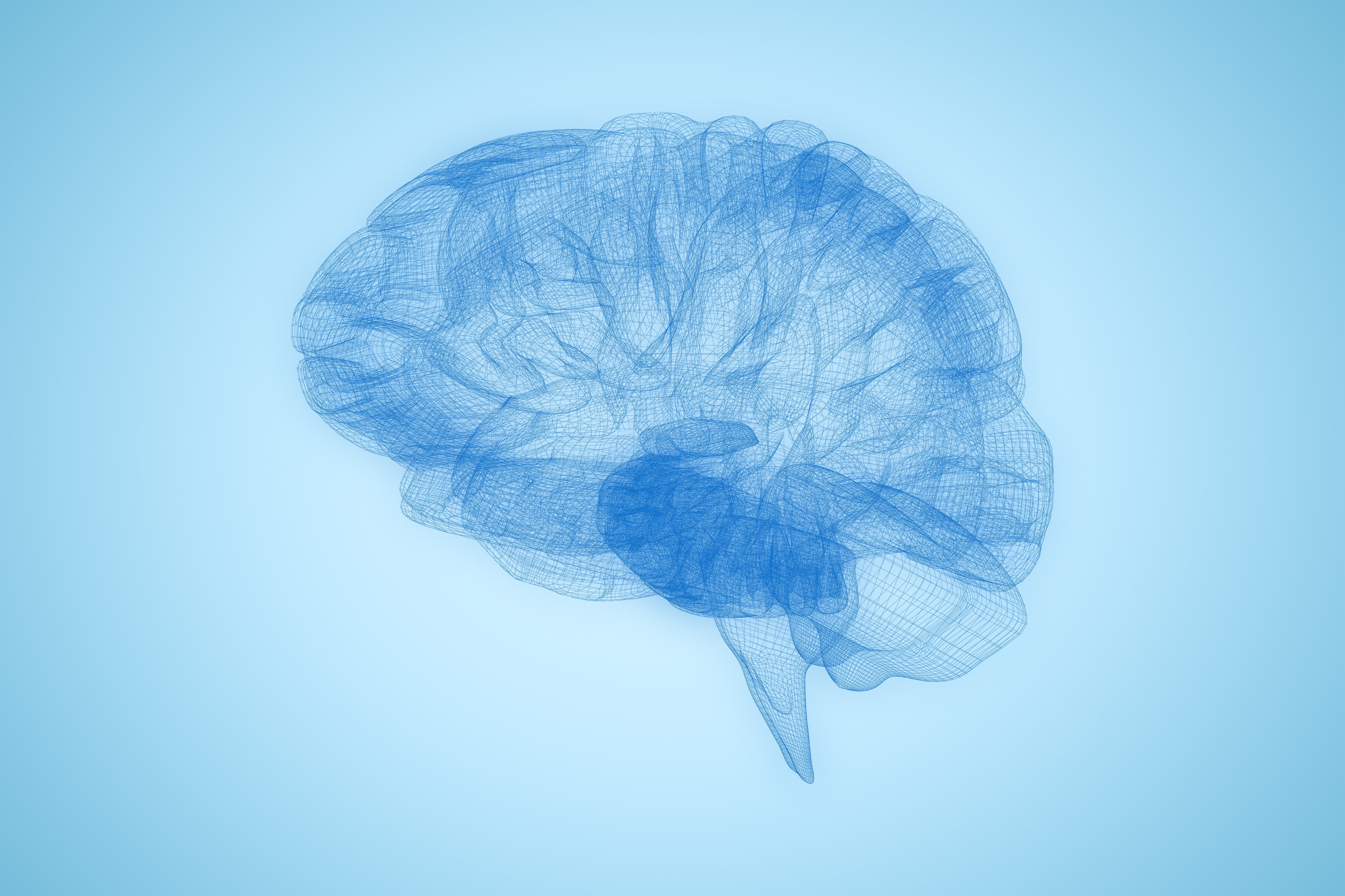 A translucent blue wireframe illustration of a human brain