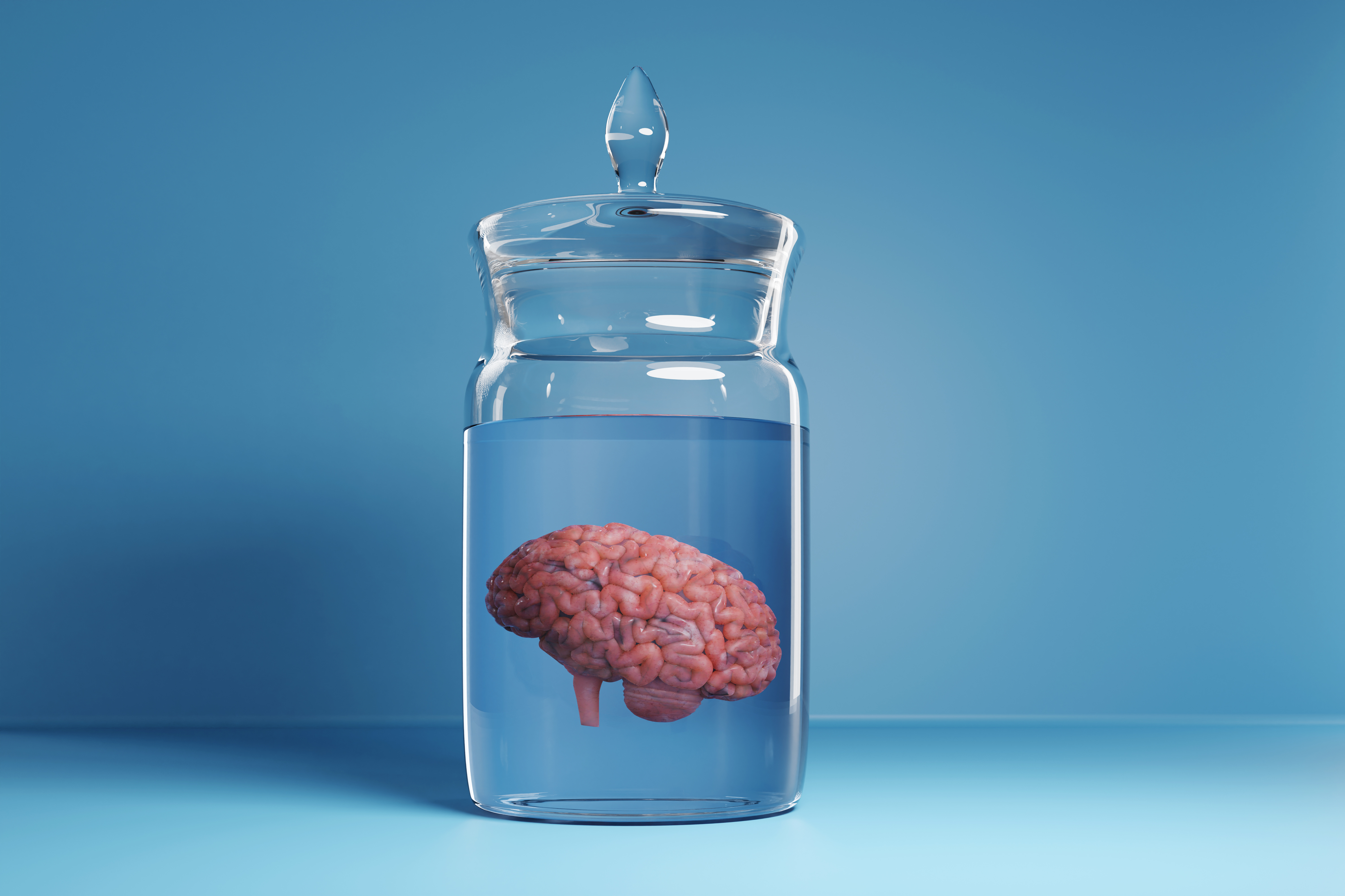 Brain in a glass jar of liquid on a blue background