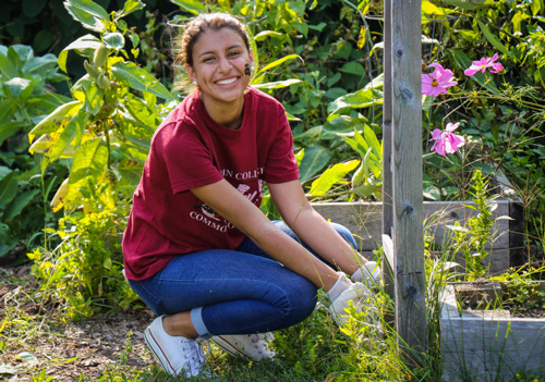 Common Good garden