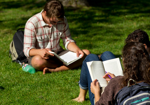 students studying outside