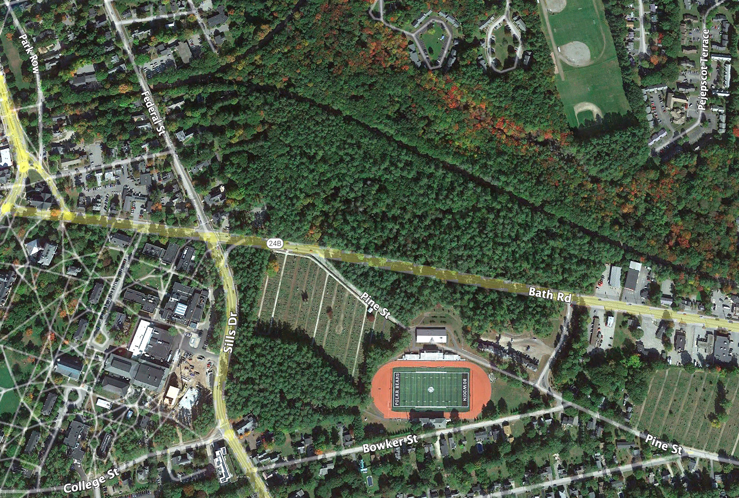 The Bowdoin Pines are located on either side of Bath Road, just east of downtown, and include the approach to Whittier Field.