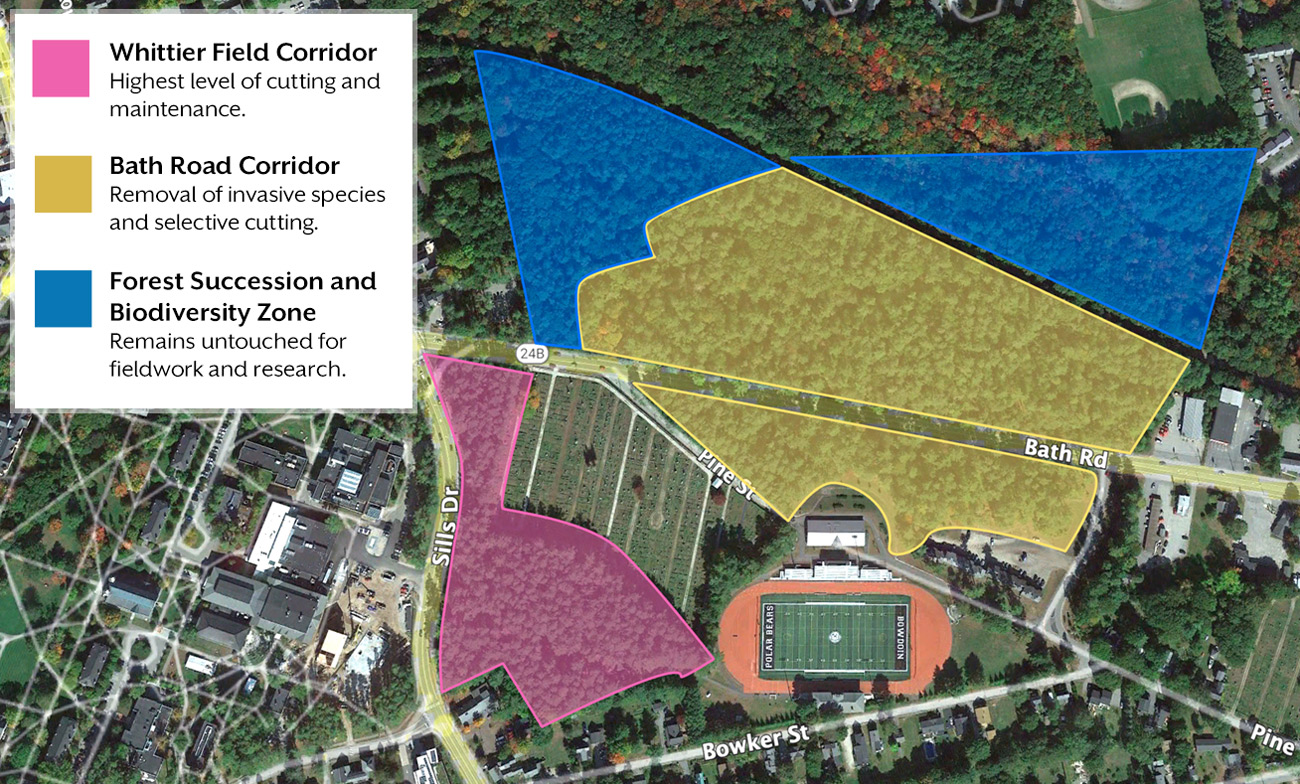 Three distinct areas of the Bowdoin Pines will each have their own maintenance approach and plan.