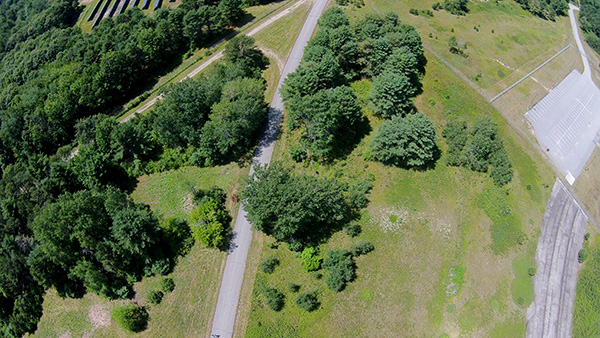 aerial photo of former naval air station-trees 