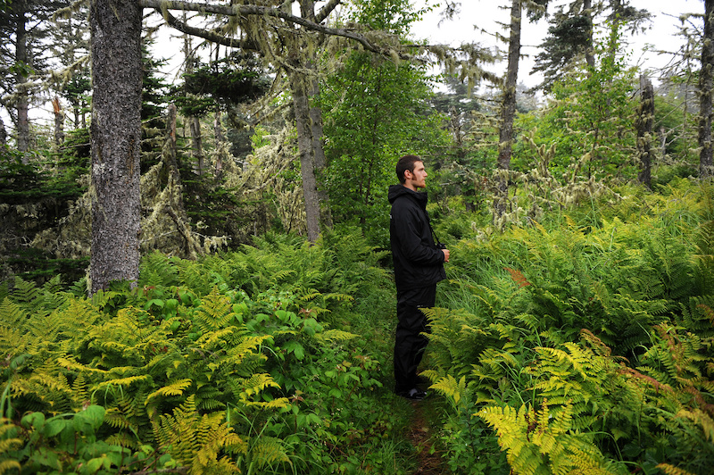 standing in the forest on Kent Island