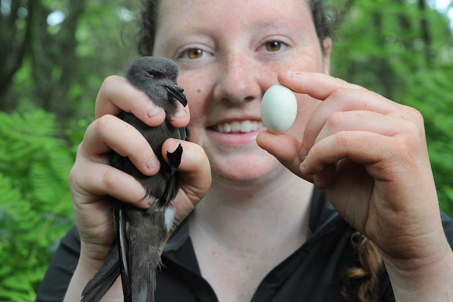 Student holding petrel and egg