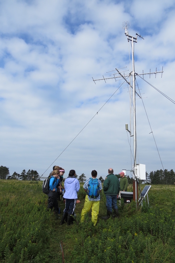 Weather vane