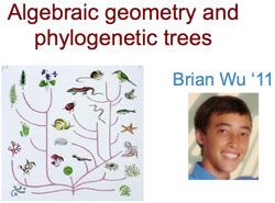 headshot Brian Wu and image of algebraid geometry and phylogenetic trees