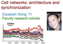 headshot Elizabeth Wong and graph of cell networks
