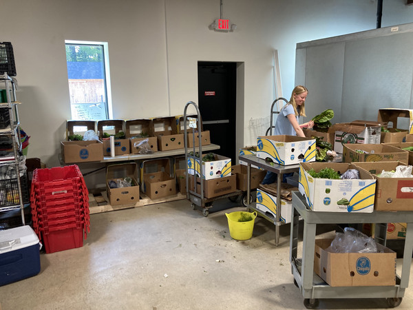 Caroline placing leafy vegetables into boxes. 