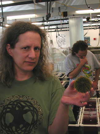 Amy Johnson, with Ellers, behind, designed special saltwater sea urchin tanks at Bowdoin's Coastal Studies Center."