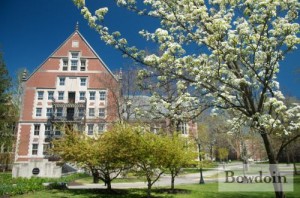 Picture of Bowdoin building in the spring, trees budding