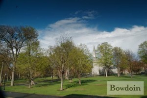 Picture of campus and trees on the quad in the spring