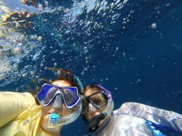 Ecology Trip