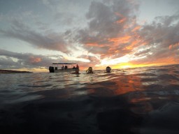 Ecology Trip