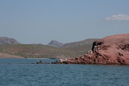 Ecology Trip