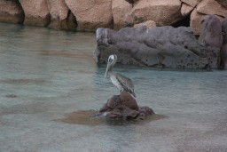 Ecology Trip