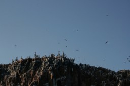 Ecology Trip