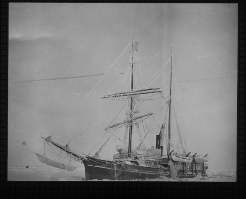 karluk-alongside-ice-500x405.jpg
