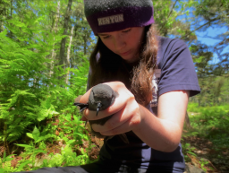 kentislandpetrel25062015_06252015-1-256x193.png
