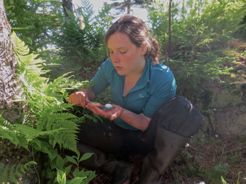 Adrianowycz measures a Leach’s storm-petrel egg after carefully removing it from a burrow.