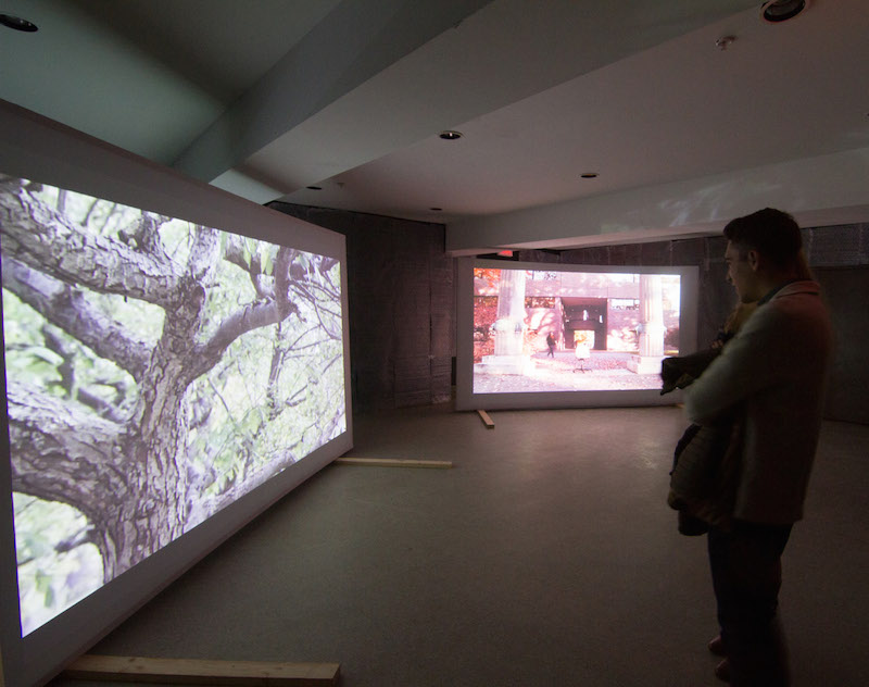 A student at Ladd House watches short films made by students in Erin Johnson’s new digital media class