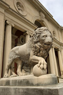 Lion statue on Museum of Art steps