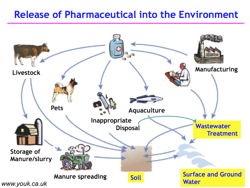 Pharmaceutical release in environment