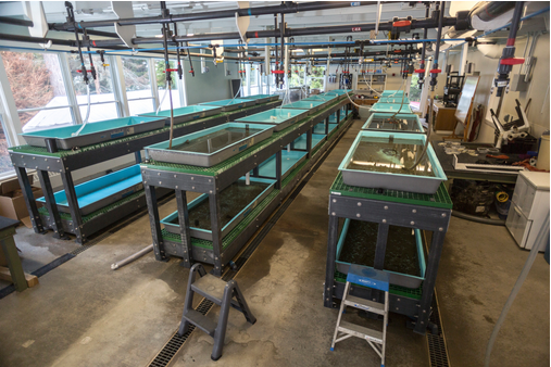 Part of the marine lab at the Coastal Studies Center