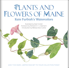 Plants and Flowers of Maine Kate Furbish Watercolors book