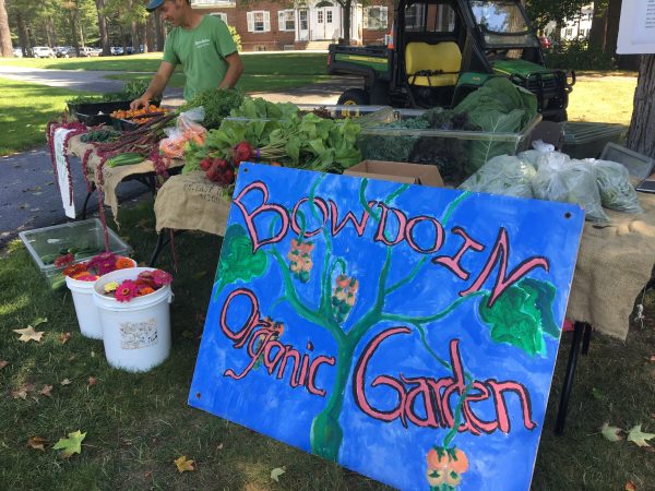 Organic Garden