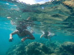 Students take a snorkeling break