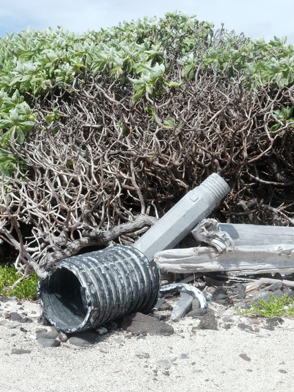 Kamilo Debris