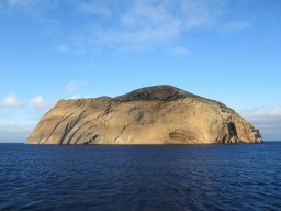 isla-guadalupe-mexico