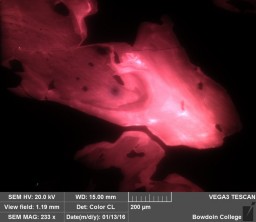 In the microscope's cathodoluminescent images produced from the thin section (previous photo), color is produced from the emission of photons with visible wavelengths. This kyanite grain luminesces mostly in red